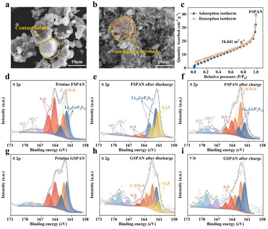 电子科技大学陈伟副教授：全固态硫化聚丙烯腈正极电子-离子输运动力学的协同优化策略